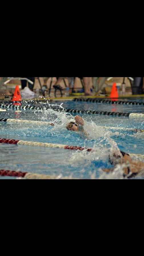 Junior Jamie Stone is one of the top age-level swimmers in the nation.