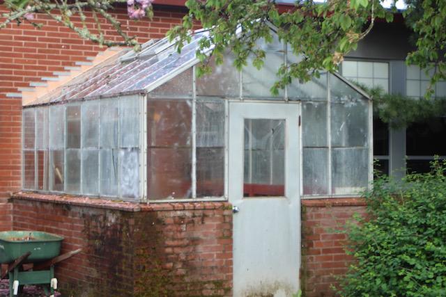 This Greenhouse, located in the west courtyard, has been revitalized by Madison Seingler.