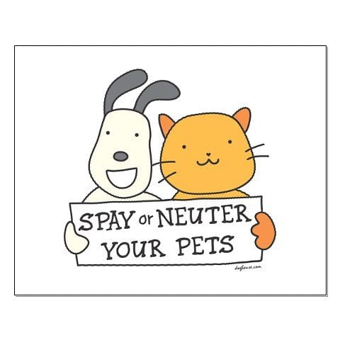 Spaying And Neutering Is Important