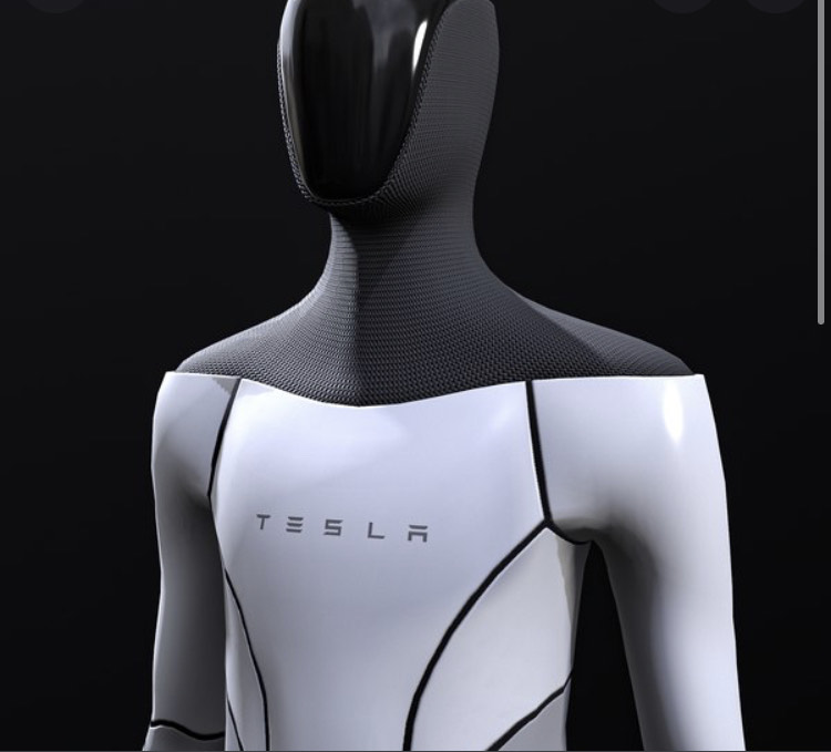 Tesla+Bot+Takeover%3F